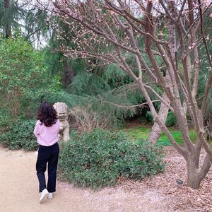 Meet your Posher, Adamaris